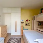 Veeve - Mid-century Maestro